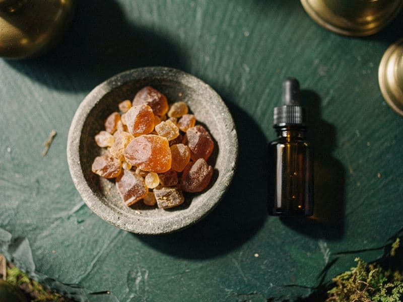 Benzoin Oil — still life
