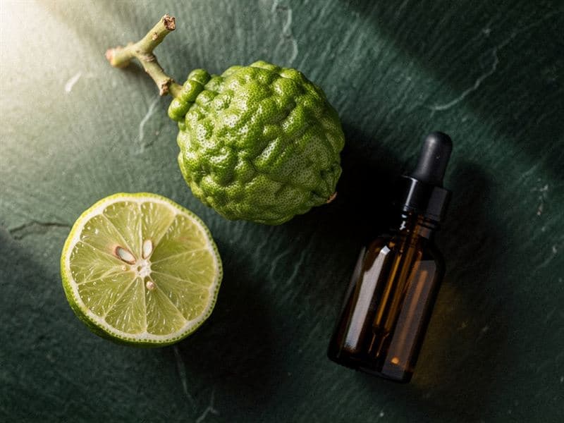 Bergamot — still life