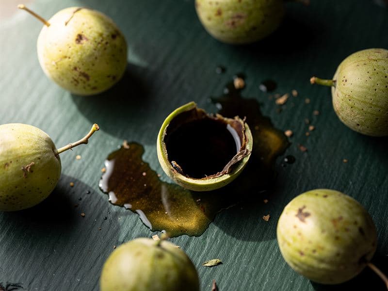 Black Walnut Hull — still life