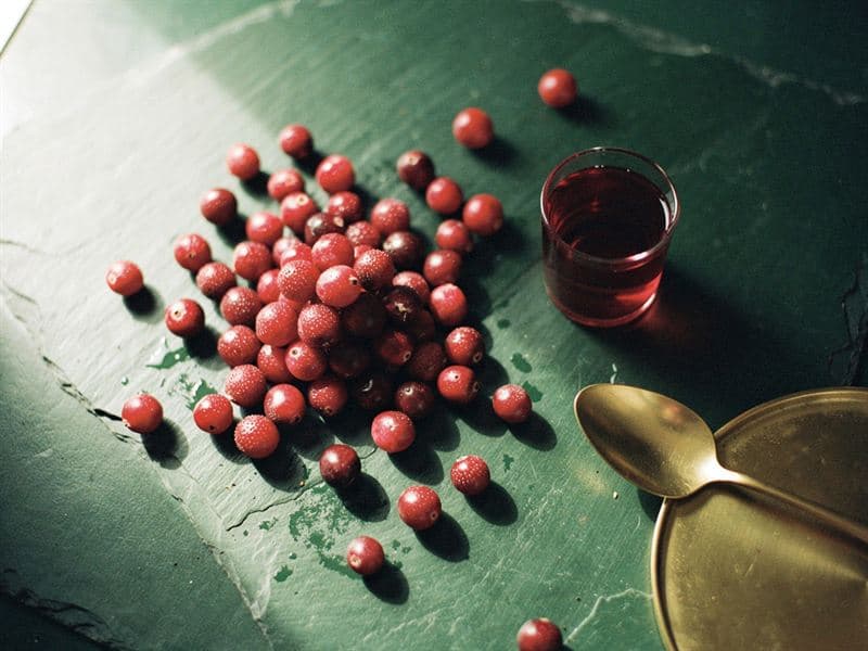 Cranberries — still life