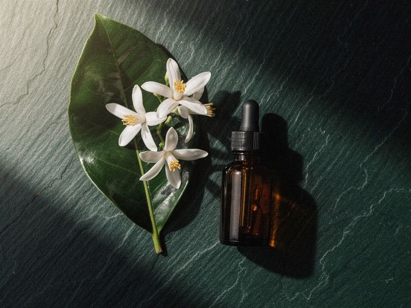 Neroli — still life