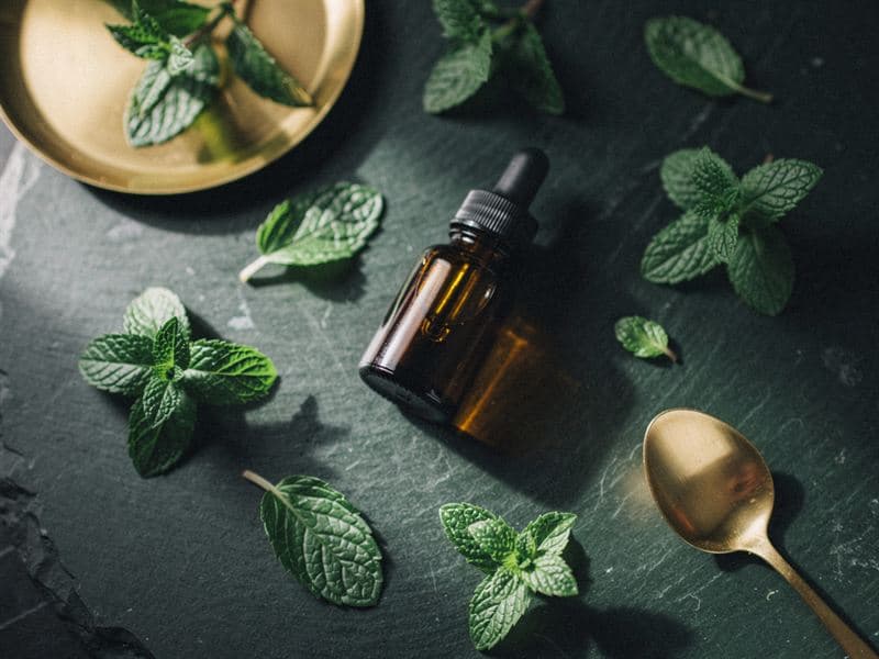 Peppermint Oil — still life