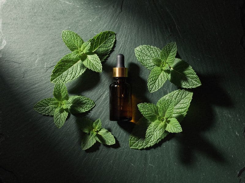 Spearmint Oil — still life